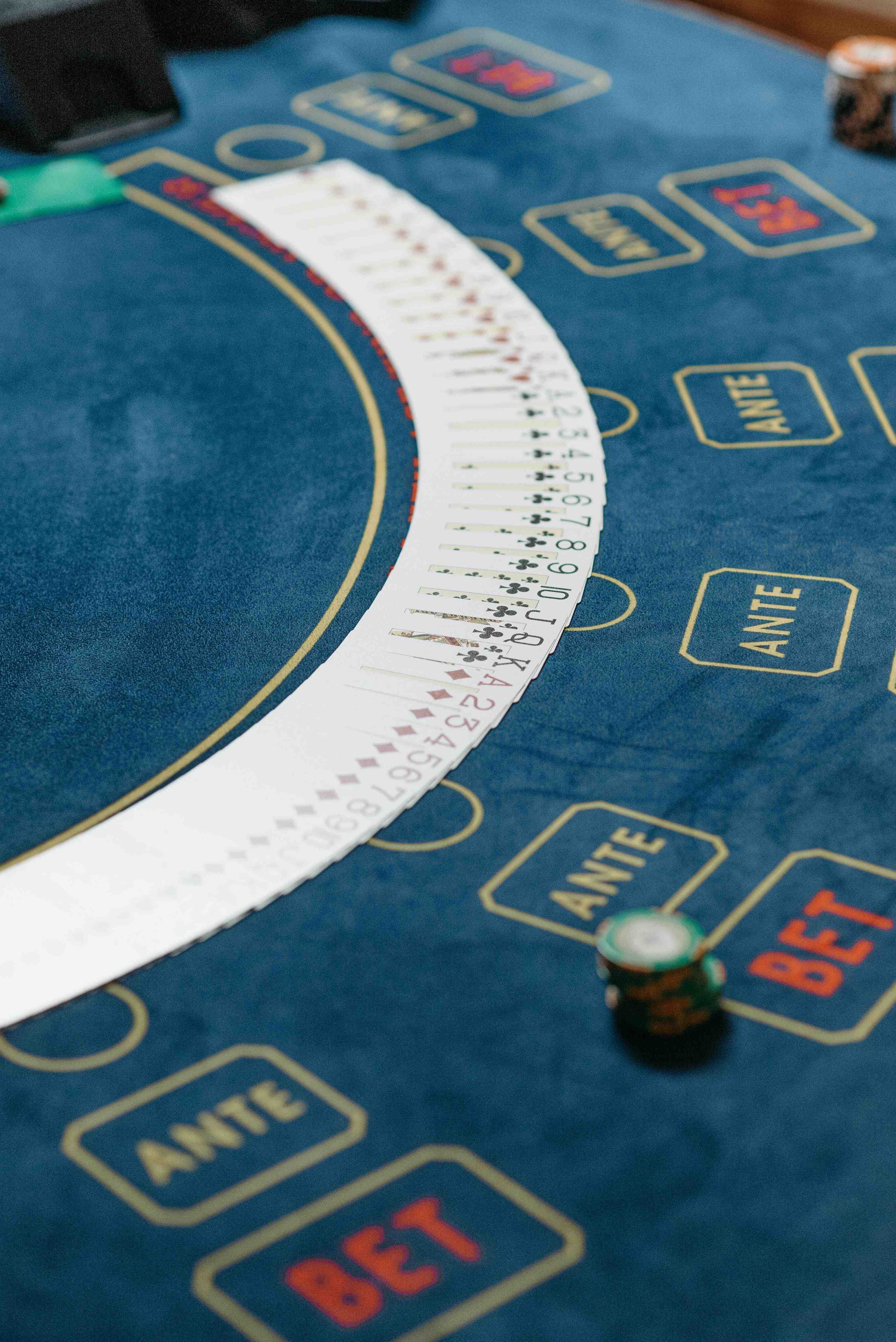 ck 444 bet apk